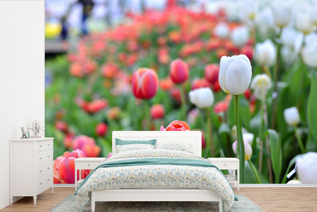 MuchoWow Fototapete für Wohnzimmer oder Schlafzimmer Wandtapete Vinyl Motivtapete Eine Nahaufnahme von roten und weißen Tulpen - 420x280 cm - Z...