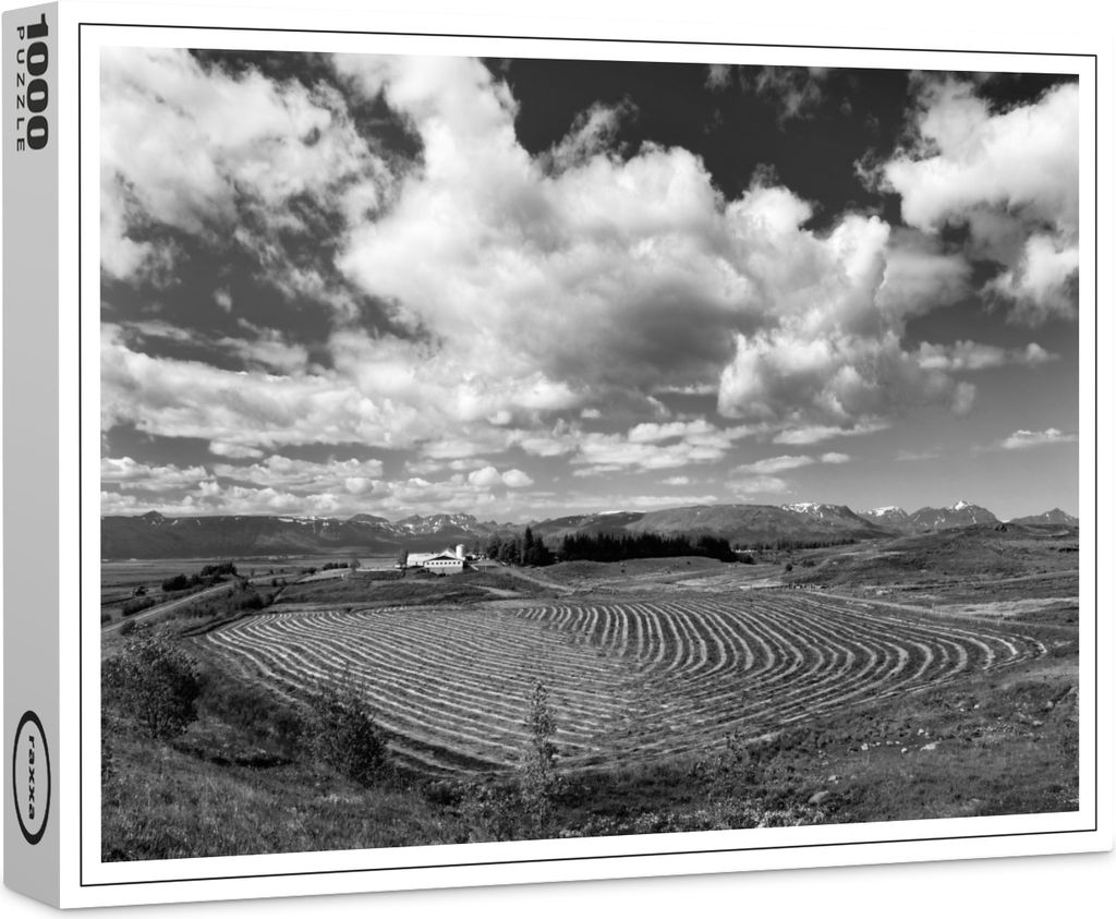 raxxa Premium-Puzzle "Weite Landschaft", 1000 Teile