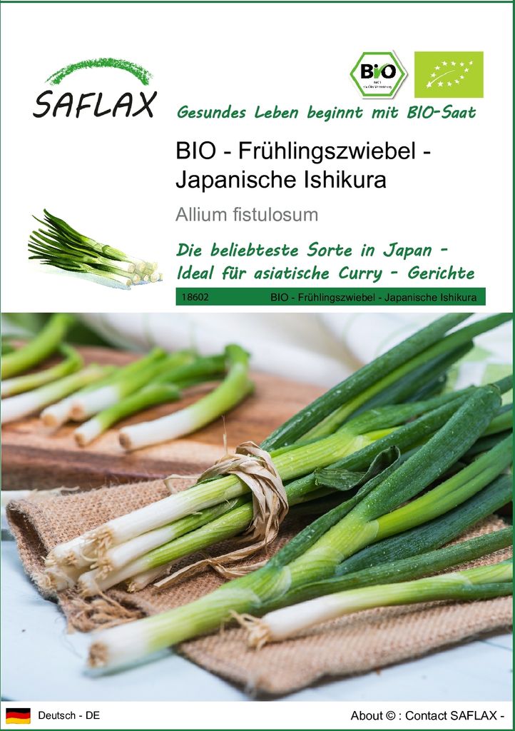 SAFLAX - BIO - Frühlingszwiebel - Japanische Ishikura - 150 Produktbild 