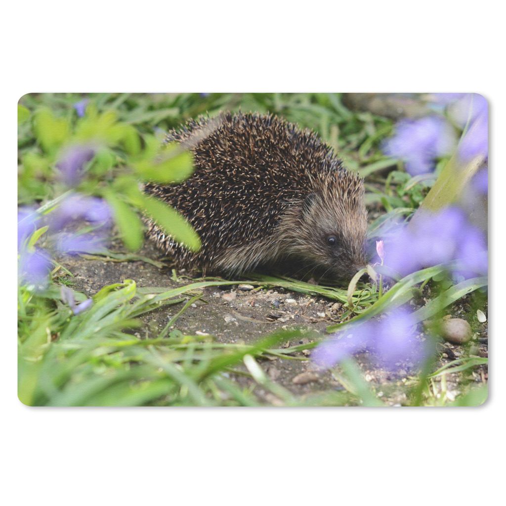 MuchoWow Schreibtischunterlage Igel hinter Blumen 60x40 cm - XXL Mauspad - Großes Mauspad