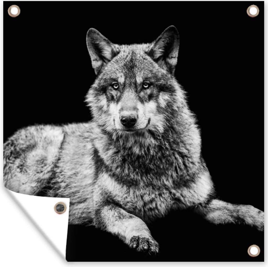 MuchoWow 50x50 cm Outdoor-Poster Gartendeko Sichtschutz Garten Poster für den Garten Wildlife - Wolf - Schwarz - Weiß