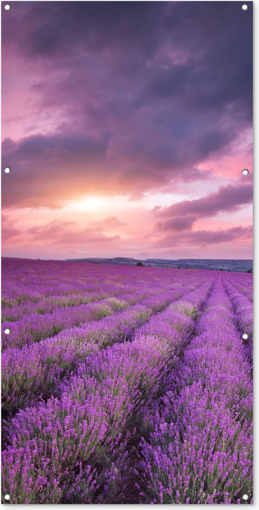 MuchoWow 80x160 cm Outdoor-Poster Gartendeko Sichtschutz Garten Poster für den Garten Lavendel - Lila - Wolken - Blumen