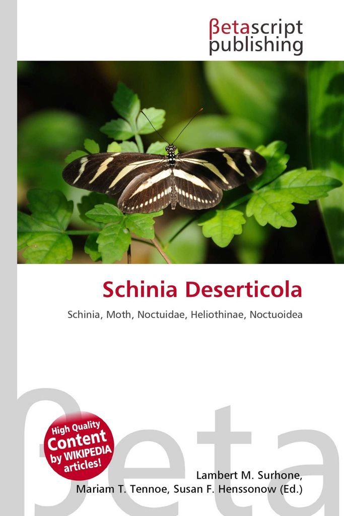 Schinia Deserticola