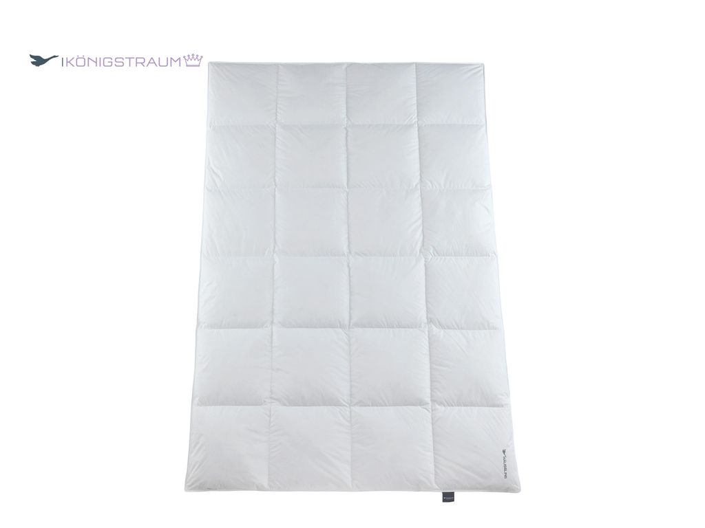 Häussling Königstraum Winter Daunendecke 135x200 cm | Winterdecke, Bettdecke Winter, 4x6 Karos, Deutsche Manufaktur, auch für Allergiker geeigne...