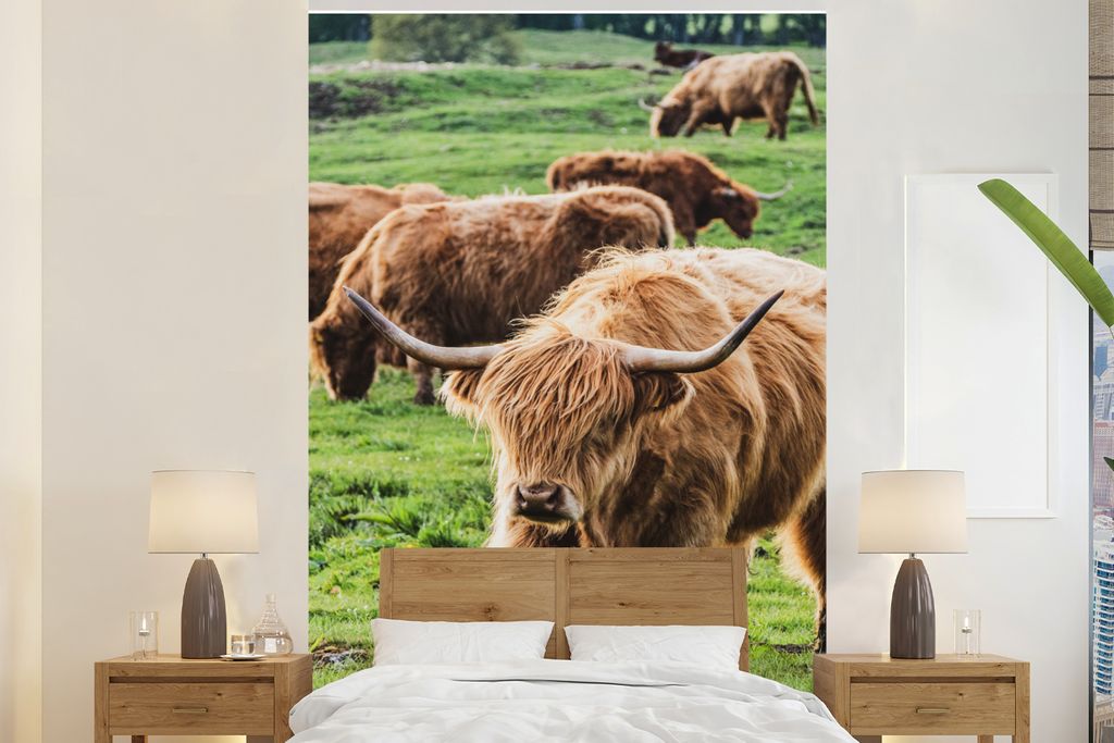 MuchoWow Fototapete für Wohnzimmer oder Schlafzimmer Wandtapete Vinyl Motivtapete Herde - Schottischer Hochländer - Gras - 170x260 cm - Wohnzim...