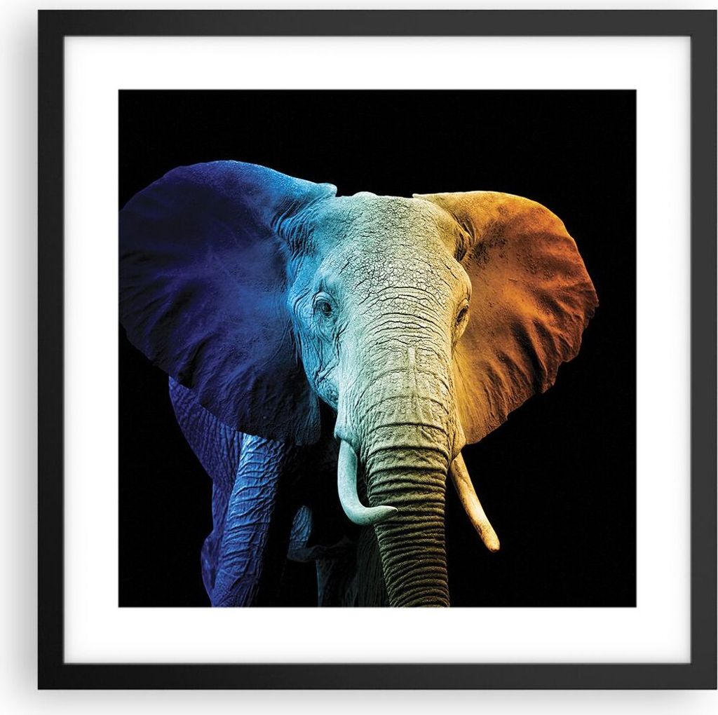 Gerahmtes Poster - Schwarzer Rahmen - Bunt Elefant Fotografie - 40x40 cm - Wand Bild - Wanddeko - Wandbilder - Kunstposter - Wandposter - Bilderrah...