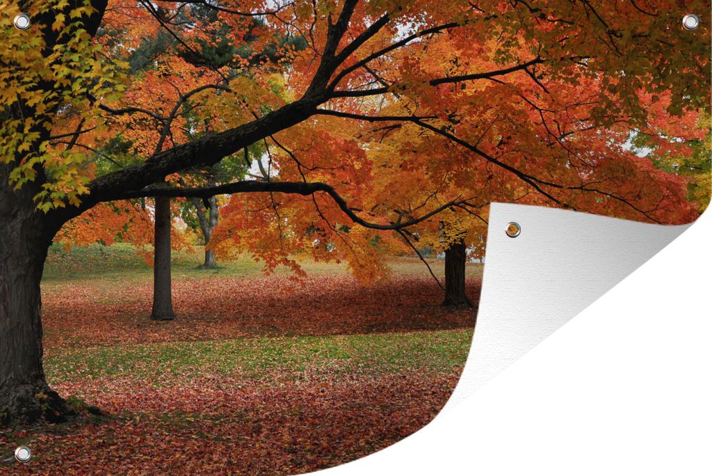 MuchoWow 120x80 cm Outdoor-Poster Gartendeko Sichtschutz Garten Poster für den Garten Herbstblätter in einem amerikanischen Wald