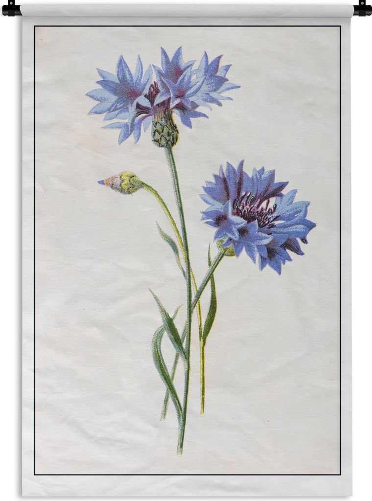 MuchoWow Wandteppich Wandbehang Eine Illustration von zwei Kornblumen 60x90 cm Tapisserie Dekoration Wandtuch - Foto-Teppich - Abwaschbar