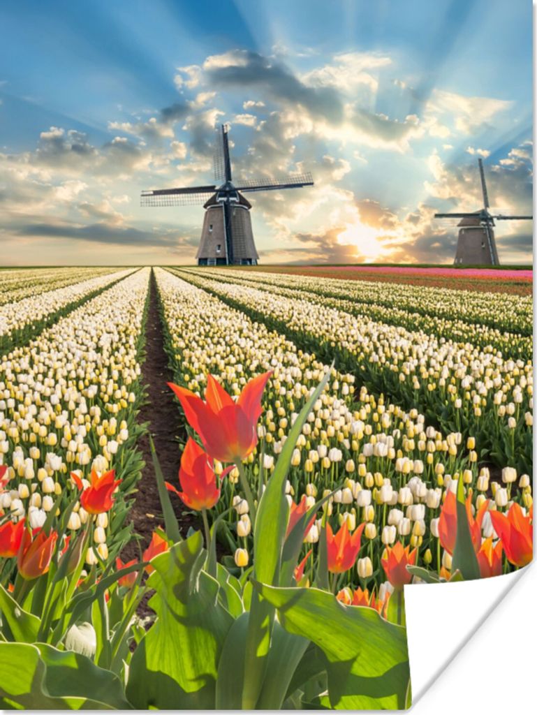 MuchoWow Poster Windmühle - Tulpen - Himmel - Natur 60x80 cm - Schlafzimmer Dekoration
