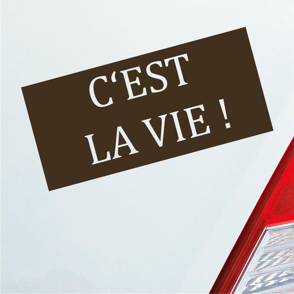 Auto Aufkleber C’est la vie! Frankreich französisch Spruch 19x9 cm Braun Sticker Heckscheibenaufkleber