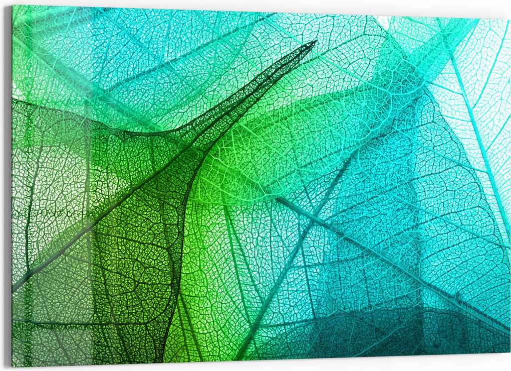 DEQORI Glasbild Echtglas 90x60 cm 'Durchleuchtete Blätter' Wandbild Bild modern Deko
