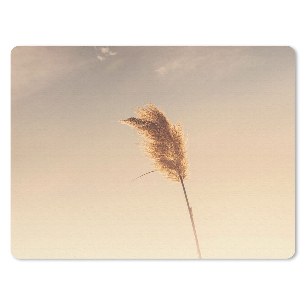 MuchoWow Mauspad Mousepad Pampa - Gras - Himmel - Rosa 23x19 cm - Mousepads - Maus Mat - Pad - Mausunterlage - Schreibtischunterlage - Mauspad