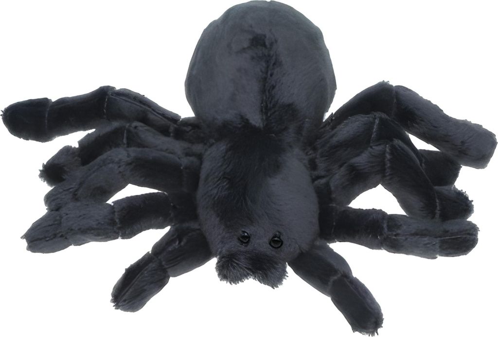 A plush toy spider on a white background.
