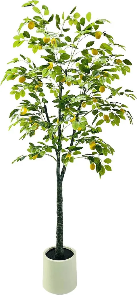 Citronnier Artificiel 180 cm - Style Bonsaï Réaliste en PVC Blanc