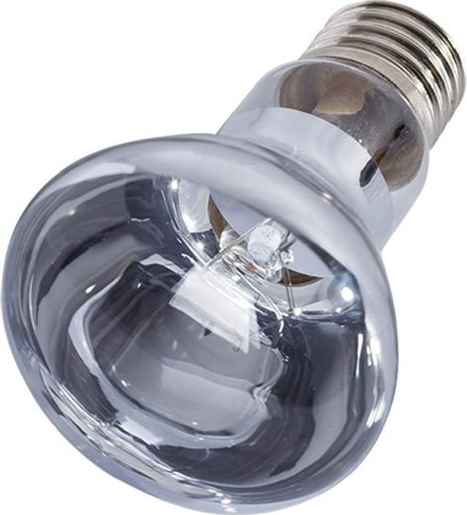 Repti-Zoo Néodyme lumière du jour 75W - ampoule chauffante Image du produit 