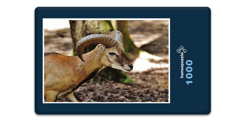 hansepuzzle 19423 - Widder Puzzle, 1000 Teile, Tierwelt, 60,0 x 46,0cm mit hochwertiger Aufbewahrung, Kartonbox und wiederverschließbarem Beutel