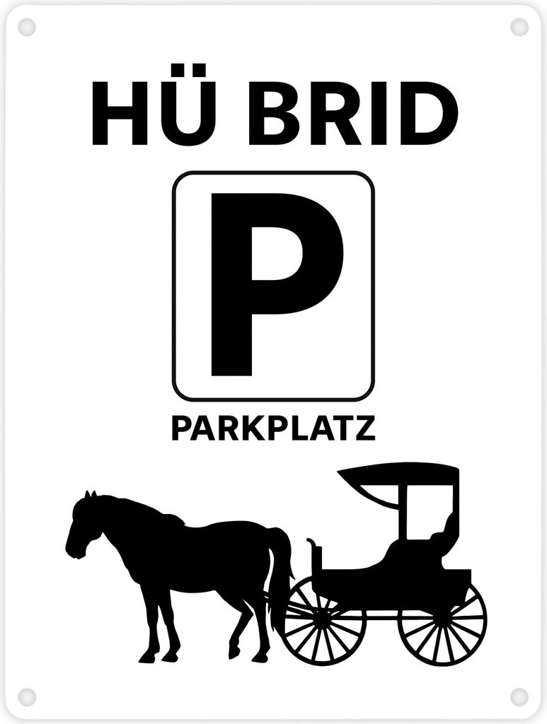 Pferd mit Kutsche Metallschild in 15x20 cm mit Spruch Hü Produktbild 