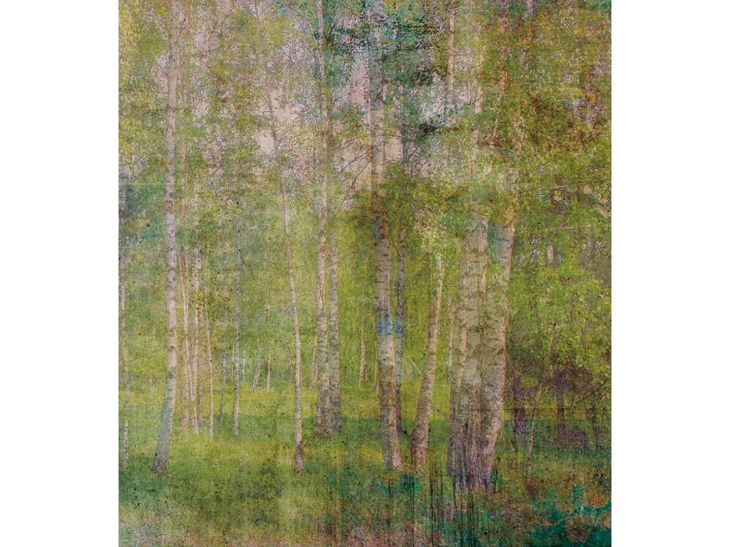 Fototapete - Leaves Abstract 225x250cm - Vliestapete Produktbild 
