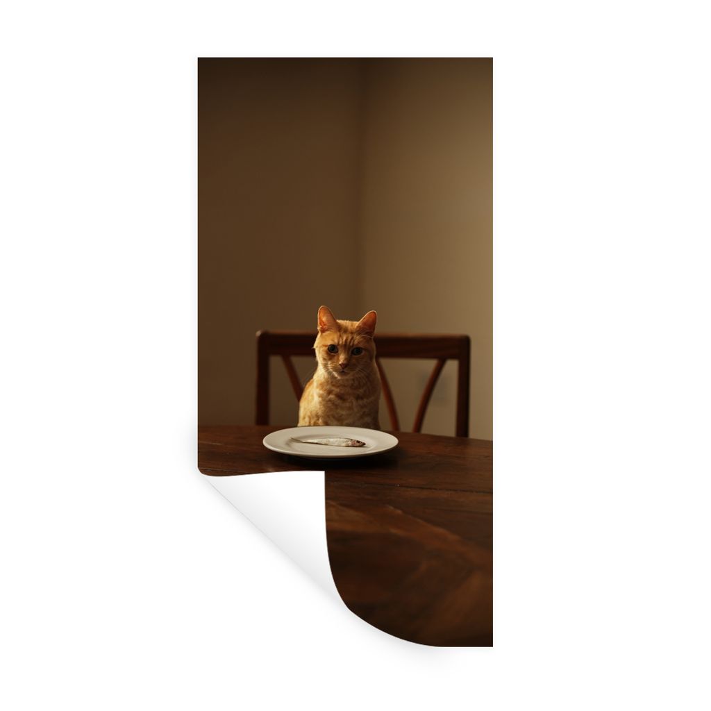 MuchoWow Wandtattoo Wandsticker Wandaufkleber Katze - Esstisch - Teller 80x160 cm Selbstklebend und Repositionierbar - Sticker - Dekorfolie