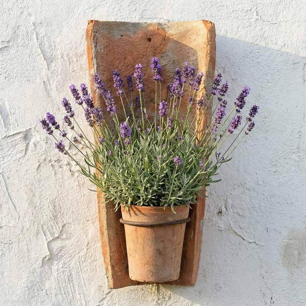 Hängetopf Echt Antiker Dachziegel Wand Blumentopf Produktbild 