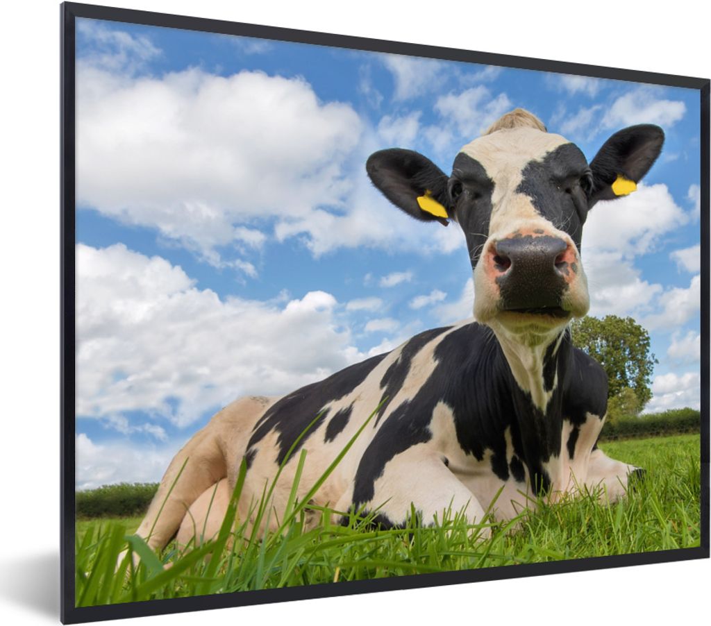 MuchoWow® MuchoWow® Gerahmtes Poster Kuh - Gras - Himmel Produktbild 
