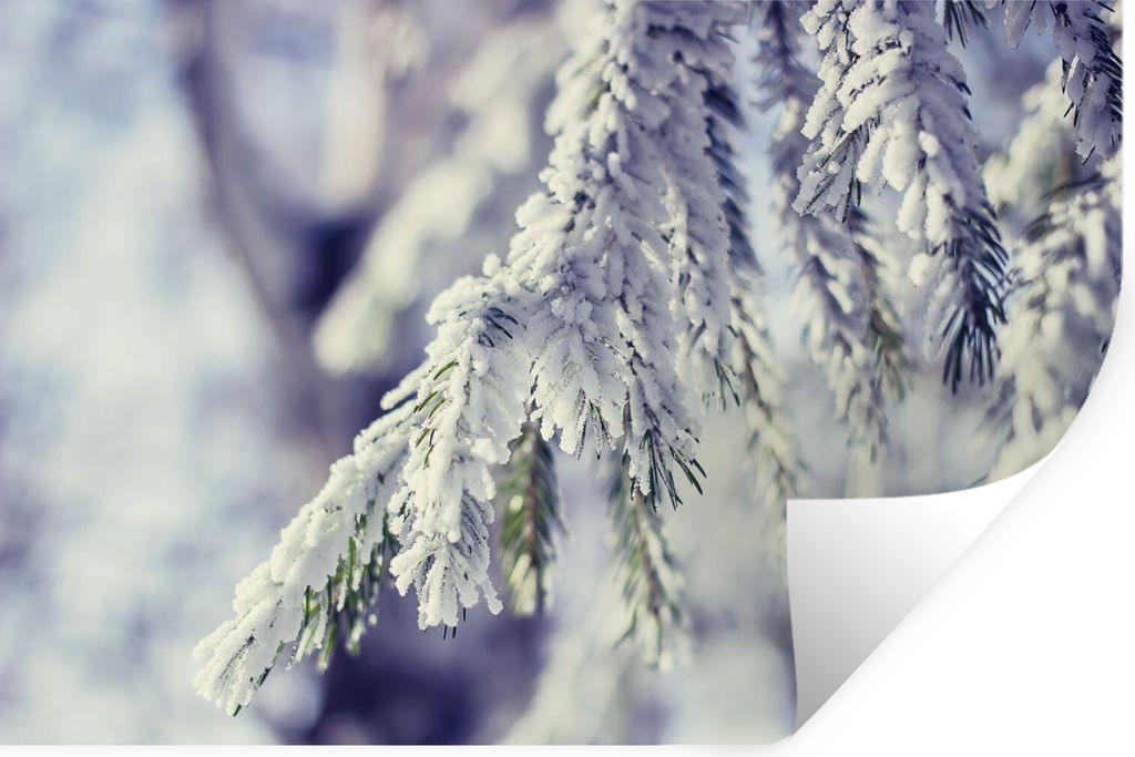 MuchoWow Wandtattoo Wandsticker Wandaufkleber Winter - Tannenbaum - Schnee - Ländlich 120x80 cm Selbstklebend und Repositionierbar - Selbstklebe...