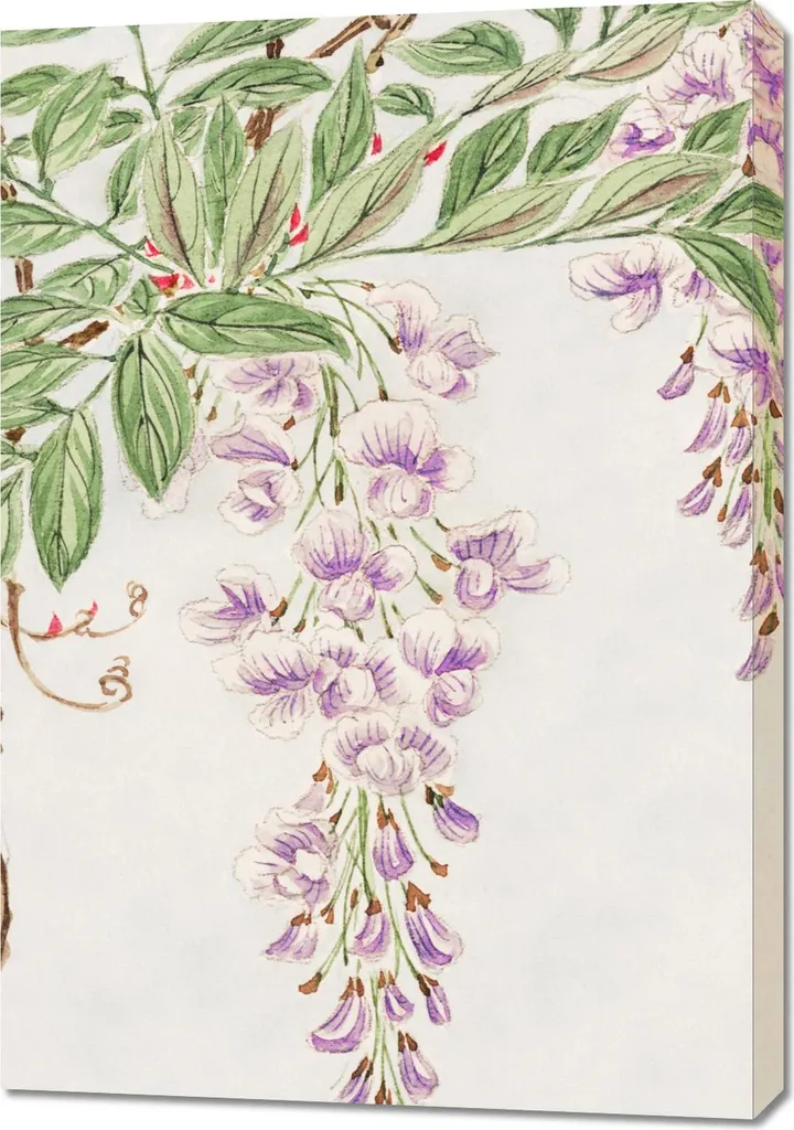 Tableau 70x100 cm Wisteria Vine Morikaga art japonais vintage salon