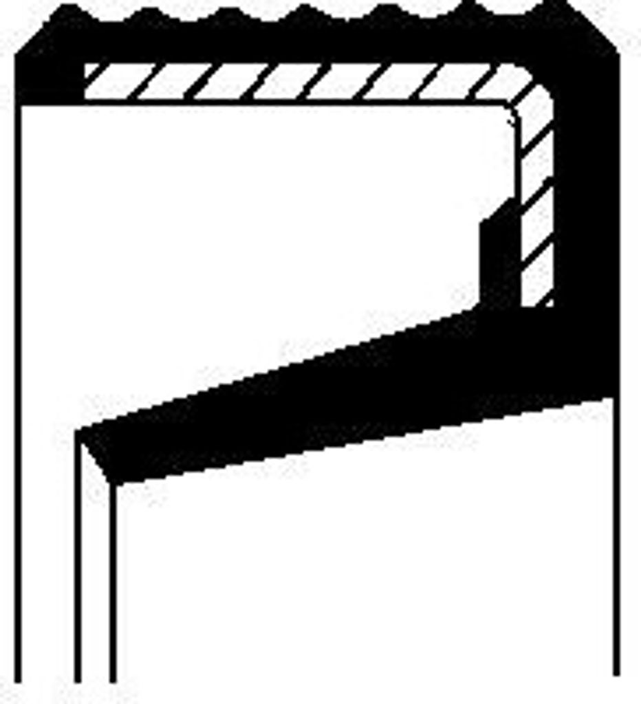 CORTECO Dichtring Schaltgestänge 49389307 für FORD RANGER (TKE)