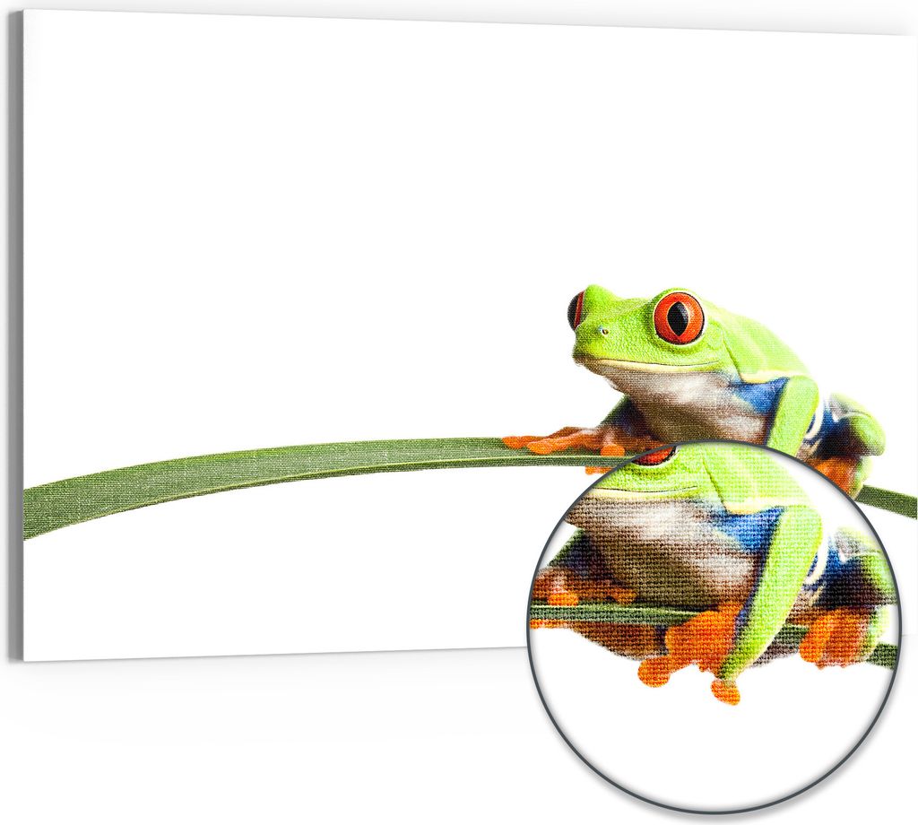 DEQORI Hybrid Leinwand Bild 90x60 cm 'Neugieriger Frosch' Wandbild Glas flach modern