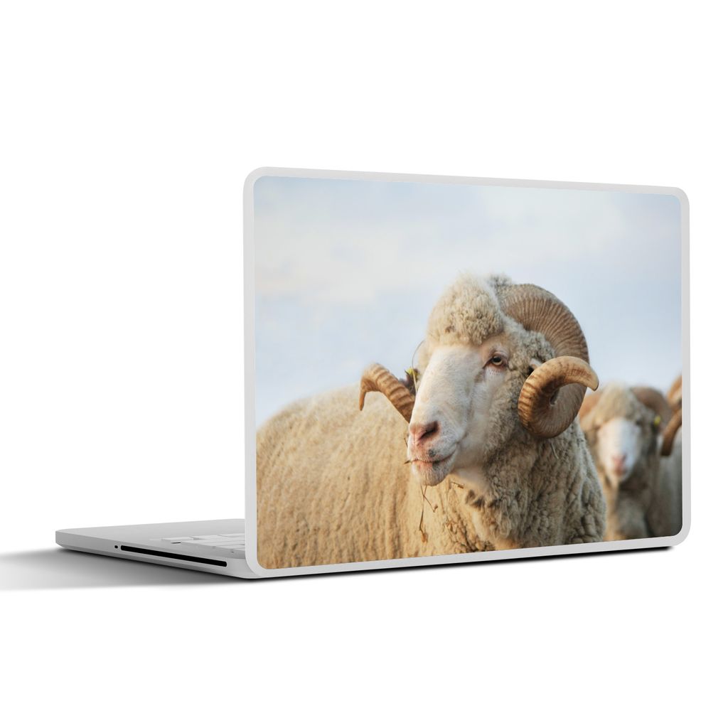 MuchoWow Laptop Aufkleber Sticker Cover Schafe - Widder - Hörner 30x22 cm - Laptop-Sticker