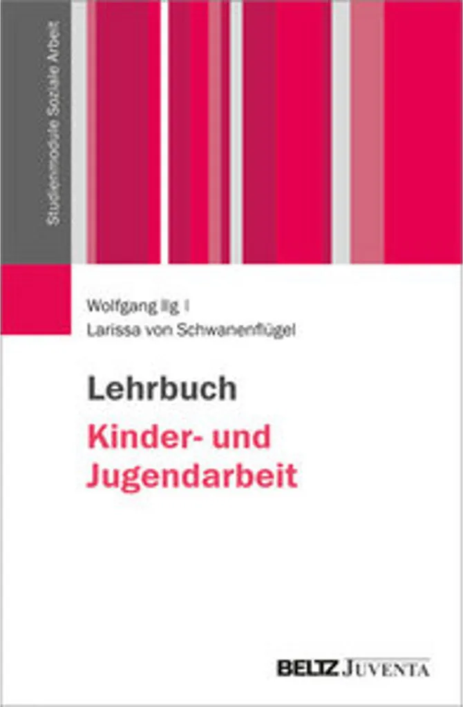 Livre Lehrbuch Kinder- und Jugendarbeit : Théorie et Pratique Sociale