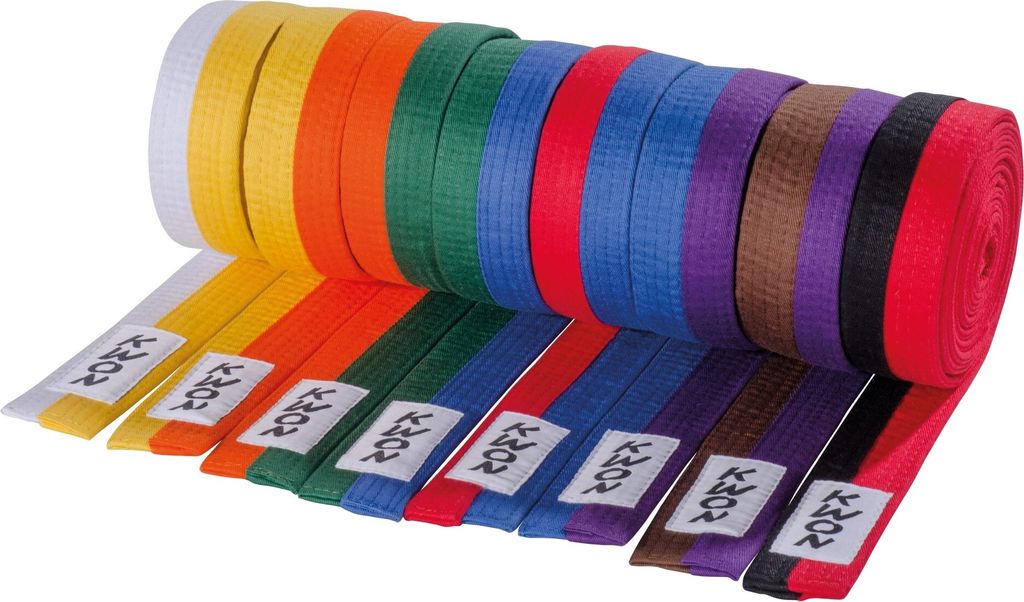 Budo-Gürtel 2-farbig blau/lila 300