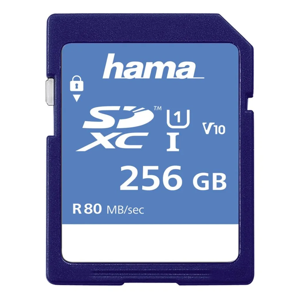 Carte SD 256 Go Classe 10 de Hama avec grande capacité de stockage informatique
