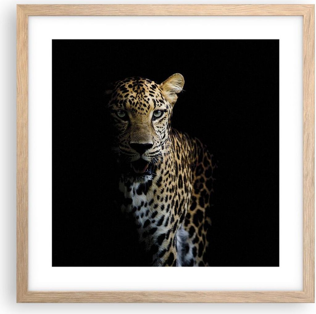 Gerahmtes Poster - Rahmen in heller Eiche - Schattig Leopard Panther - 40x40 cm - Wand Bild - Wanddeko - Wandbilder - Kunstposter - Wandposter - Bi...