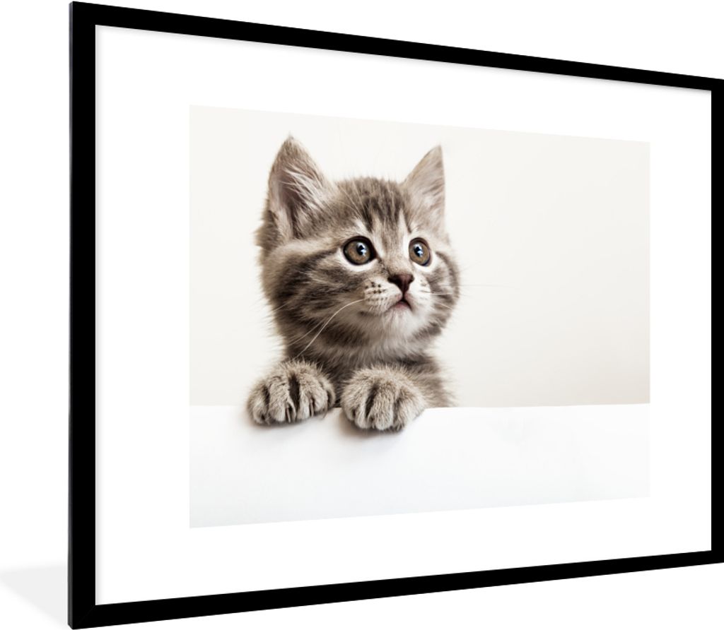 MuchoWow Gerahmtes Poster Katze - Grau - Tiere 80x60 cm - Poster mit Schwarzem Bilderrahmen Wandposter Rahmen Foto Bilder - Schlafzimmer-Dekorati...
