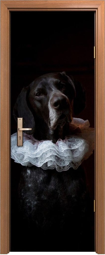 Türposter 70x200 cm Türaufkleber Türtapete Türfolie Klebefolie Kunst Tiere Hund Haustier