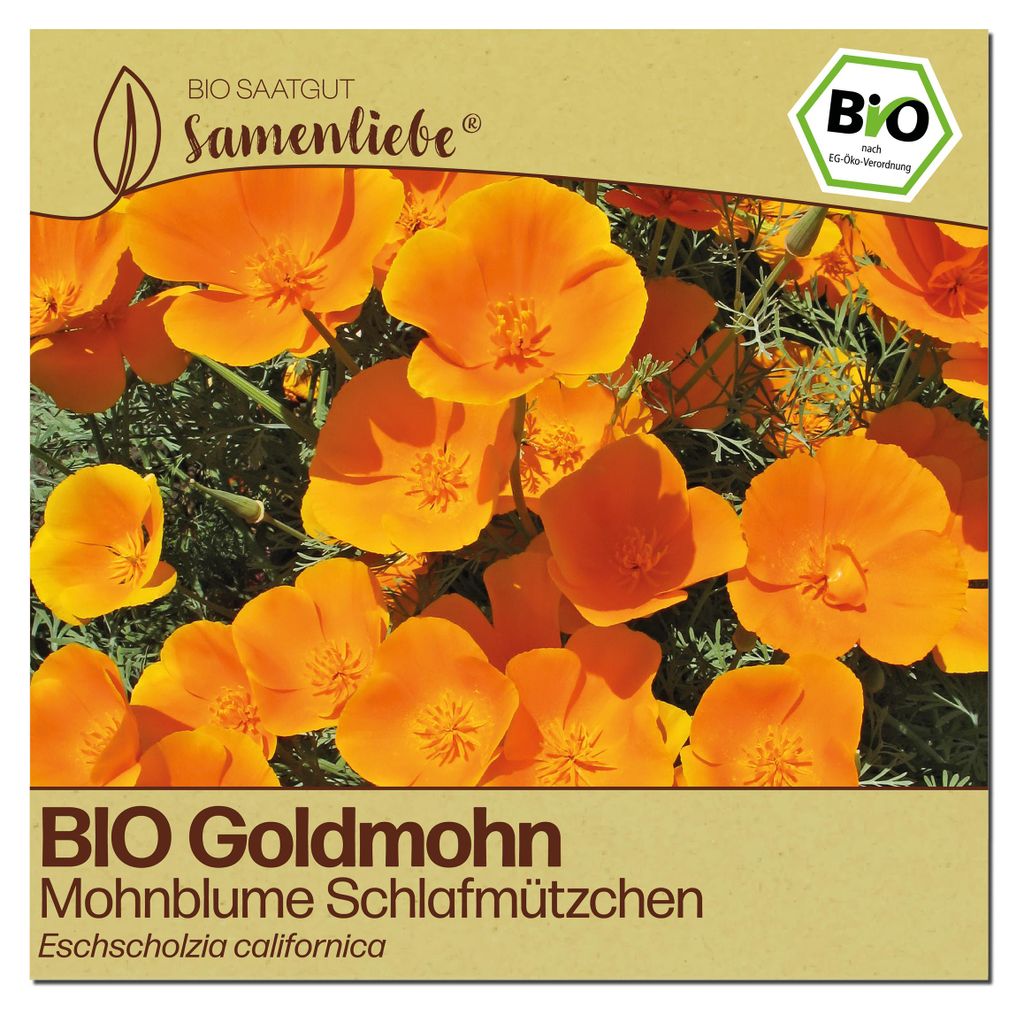 Samenliebe  Mohnblume Samen | Schlafmützchen - gold - Produktbild 