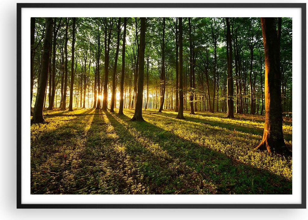 Gerahmtes Poster - Schwarzer Rahmen - Wald grün Sonnenstrahlen Natur - 100x70 cm - Wand Bild - Wanddeko - Wandbilder - Wandposter - Bilderrahmen -...