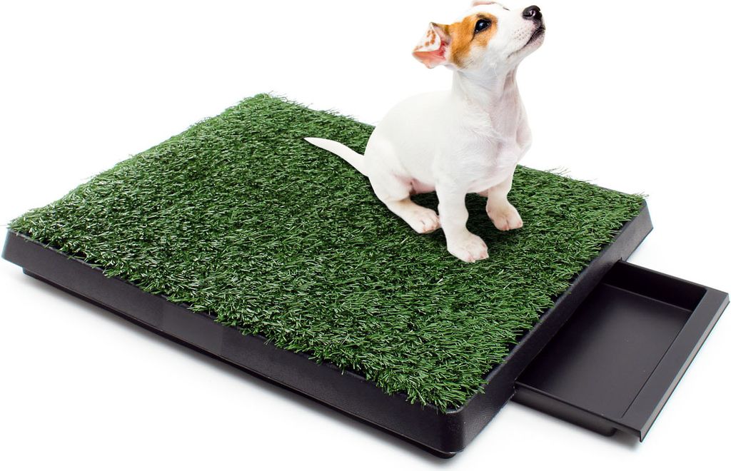 Fudajo toaleta pre šteňatá s trávou 63x51cm - toaleta pre Obrázok produktu 3