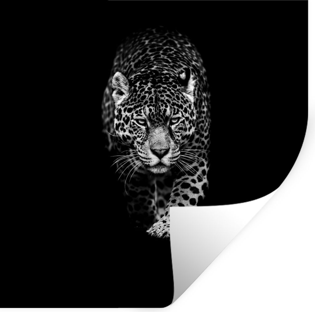 MuchoWow Wandtattoo Wandsticker Wandaufkleber Tiere - Schwarz - Leopard - Weiß - Wild 30x30 cm Selbstklebend und Repositionierbar - Repositionie...