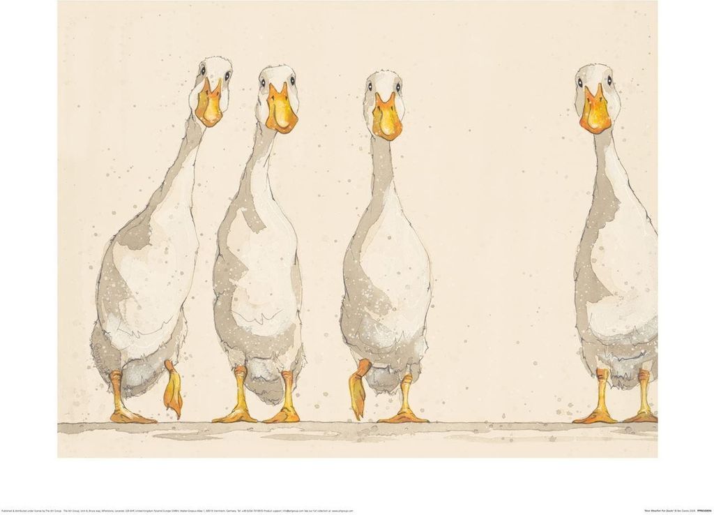 Bev Davies - bedruckt "Nice Weather For Ducks" PM11606 (50 cm x 40 cm) (Beige/Weiß)