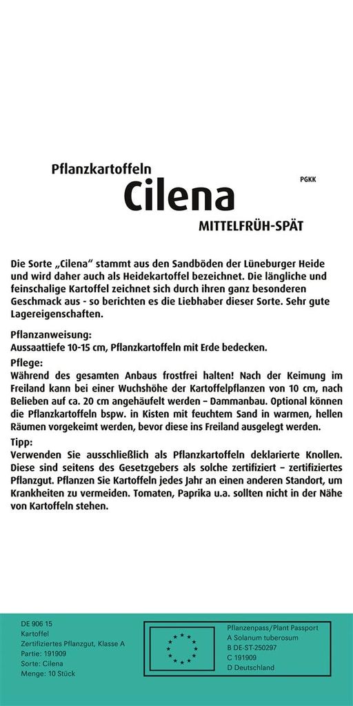 Pflanzkartoffel Cilena (10 Stück) (gelb, festkochend, Produktbild 