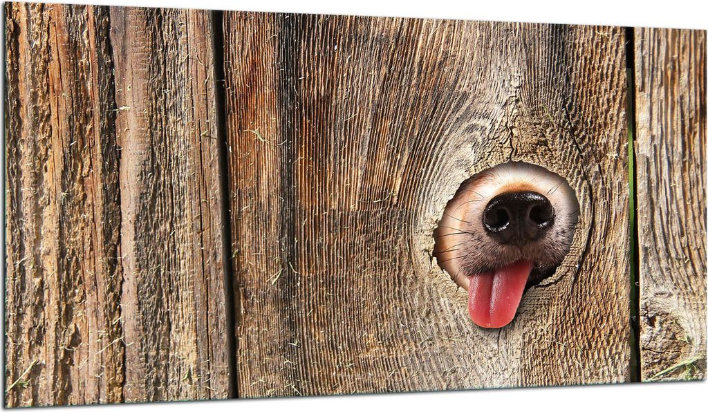 Herdabdeckplatte Glaskeramikkochfeld-Abdeckung Spritzschutz Glas 90x52 Holz Hund