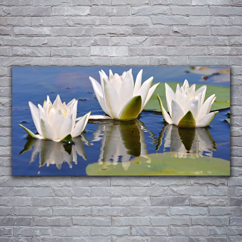 Glasbilder 120x60 Wandbild Druck auf Glas Blumen Pflanzen