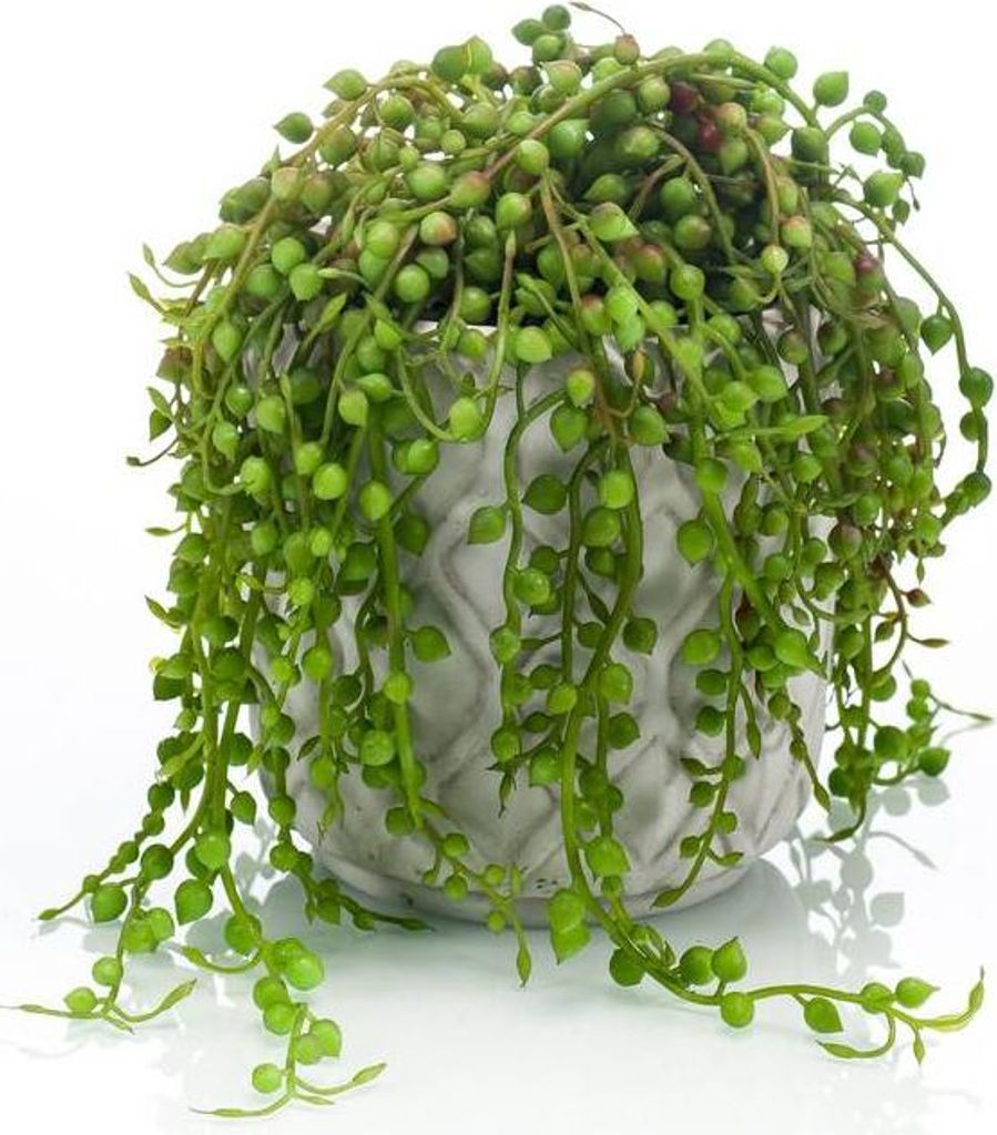 artplants.de Künstliche Sukkulente Senecio Piura im Zementtopf, grün, 15cm - Künstliche Erbsenpflanze