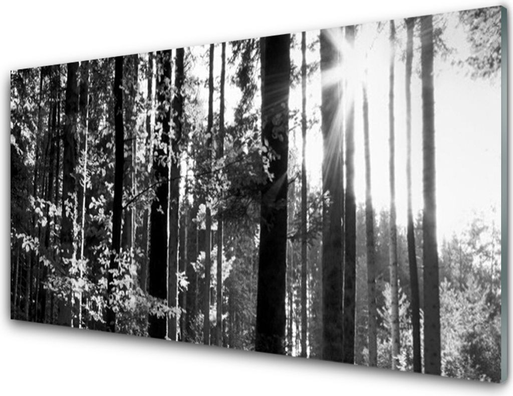 Küchenrückwand aus Glas 100x50cm Spritzschutz Wald Natur