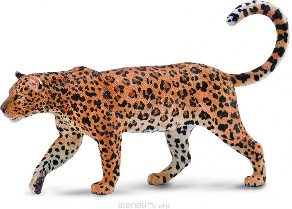 COLLECTA Afrikanischer Leopard - (XL) Zdjęcie produktu 