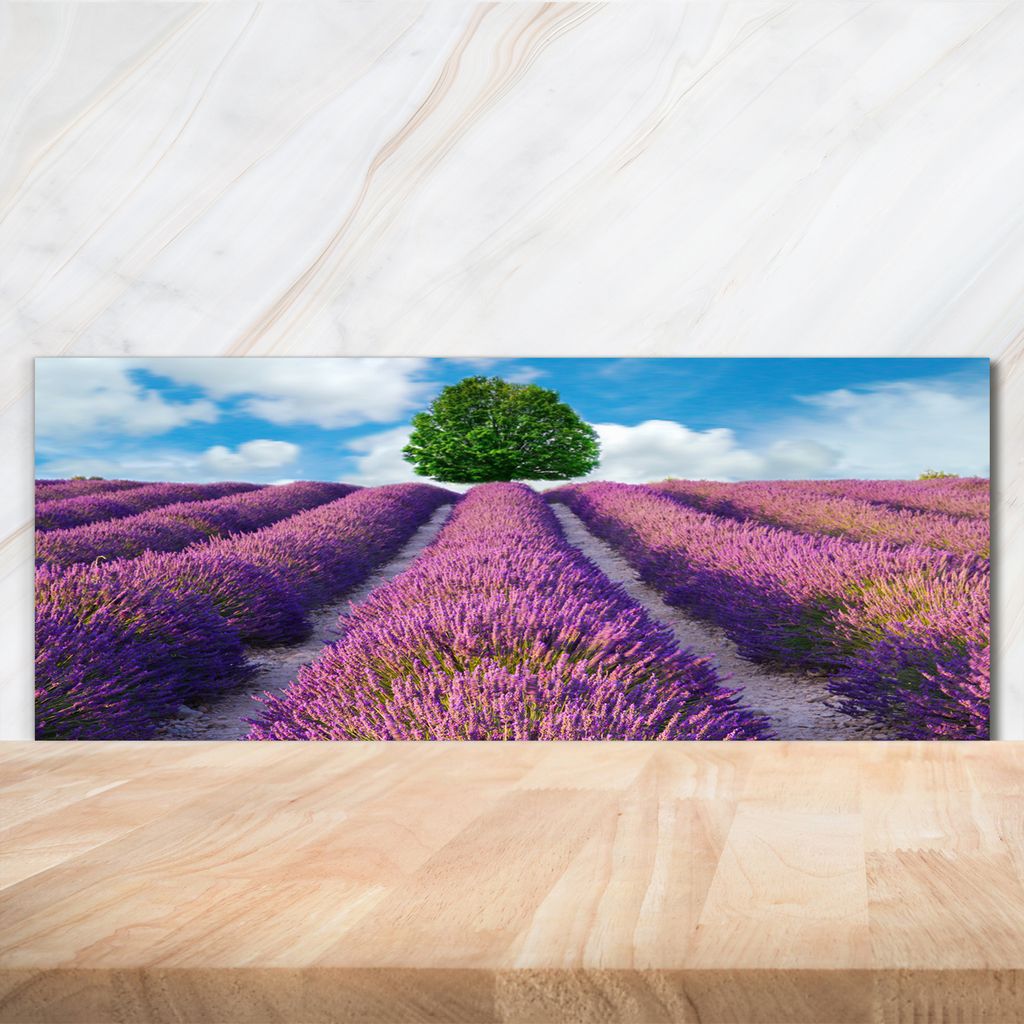 Tulup Küchenrückwand Spritzschutz aus Glas -125x50 -Spritzschutz auf gehärtetes Glas Deko Landschaften Lavendelfeld