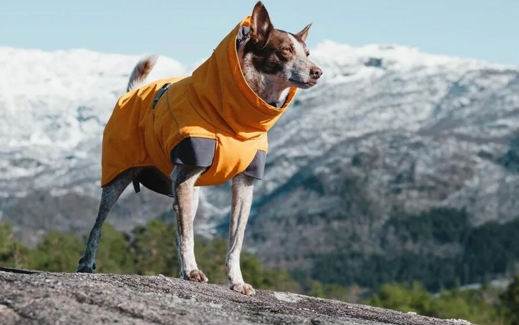 Hurtta Expedition Parka 60 Grigio: Il Top di Gamma Invernale Cane - 11
