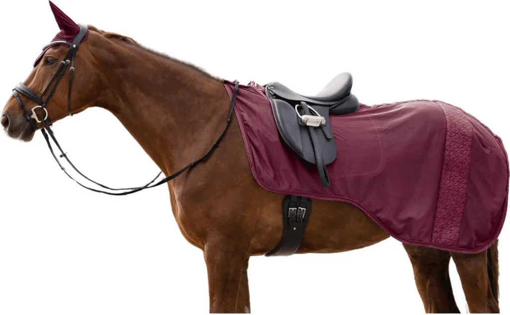 Couvre-reins anti-mouches Waldhausen Rom pour Poney en Rouge Velours